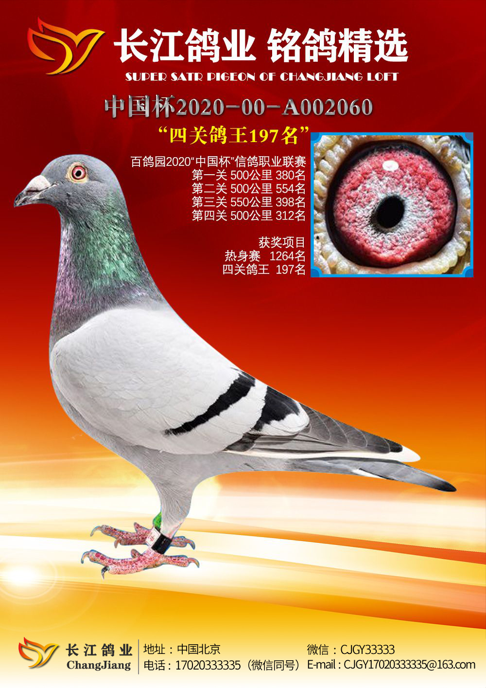 2020年百鸽园四关综合197名