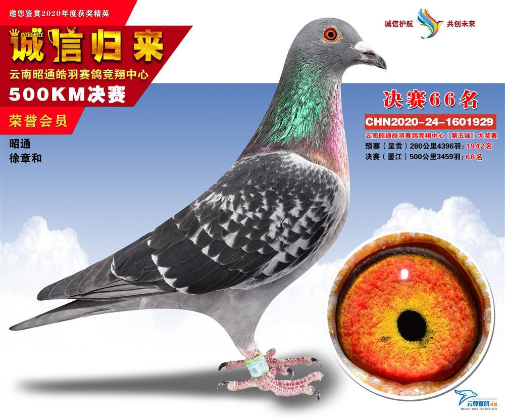皓羽第五届490公里决赛66名