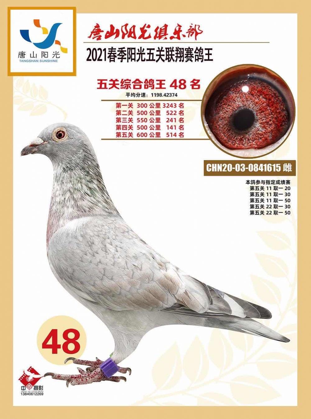 电脑夺霸者金粉世家近亲种雄