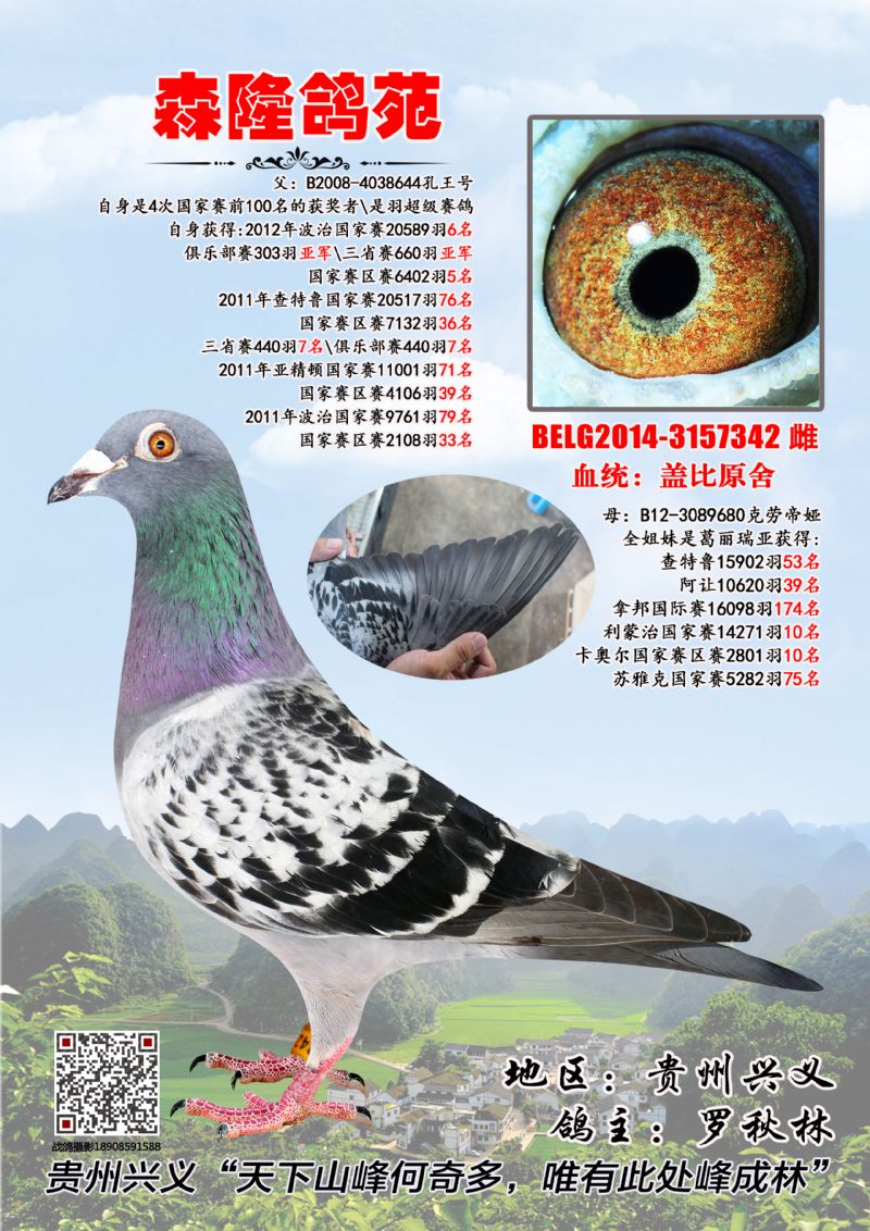 盖比原舍 - 森隆鸽苑