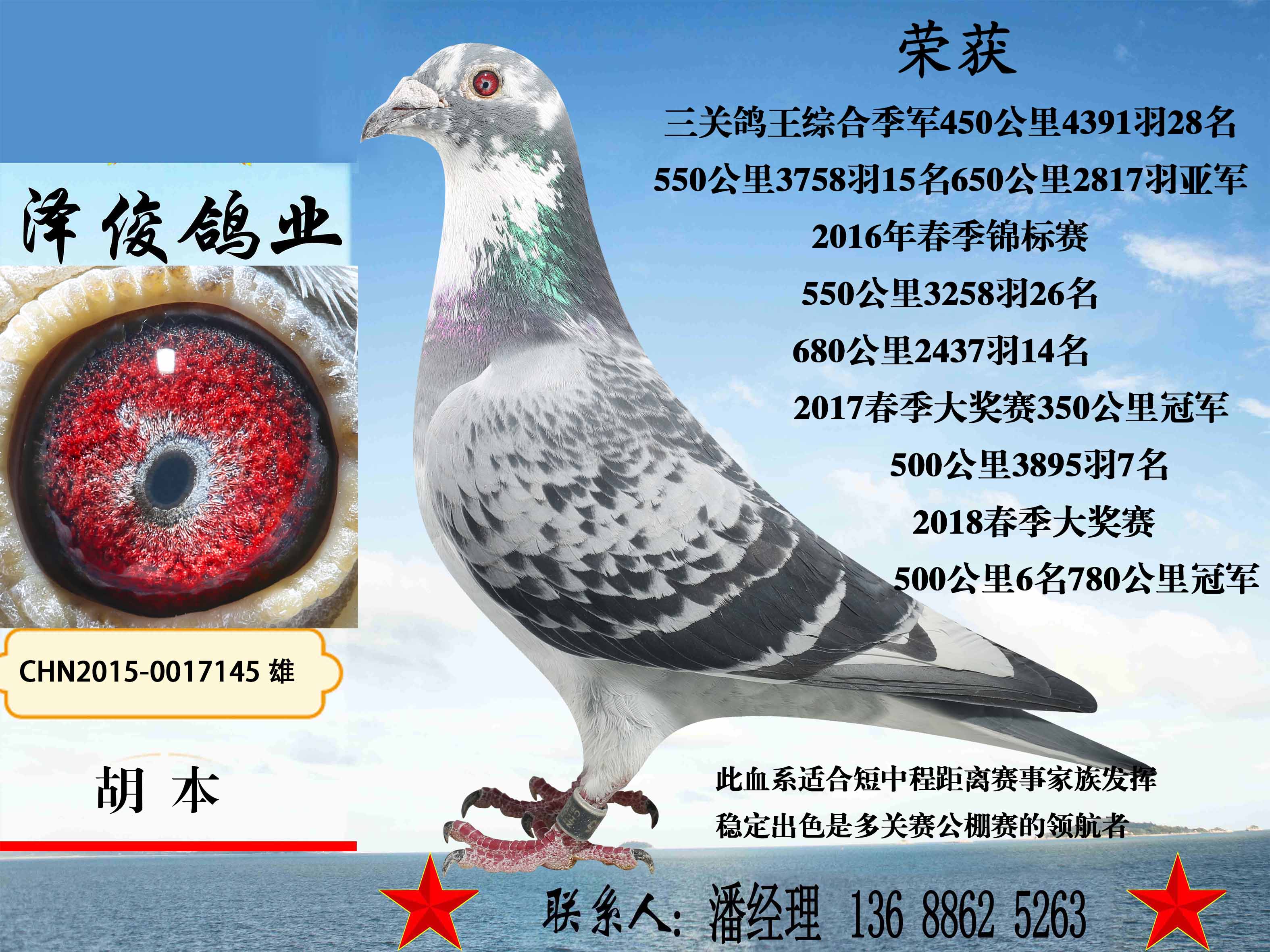 com爱鸽商城_中国信鸽信息网