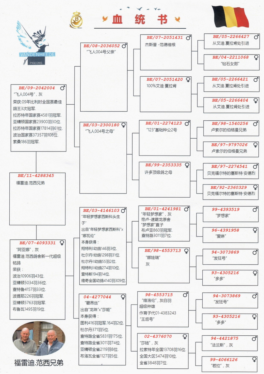 信鸽回血提纯公式图片图片