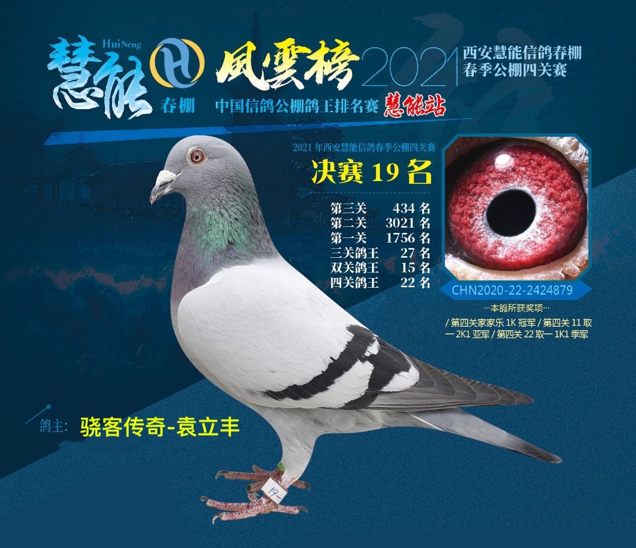 陕西西安威力赛鸽秋棚图片