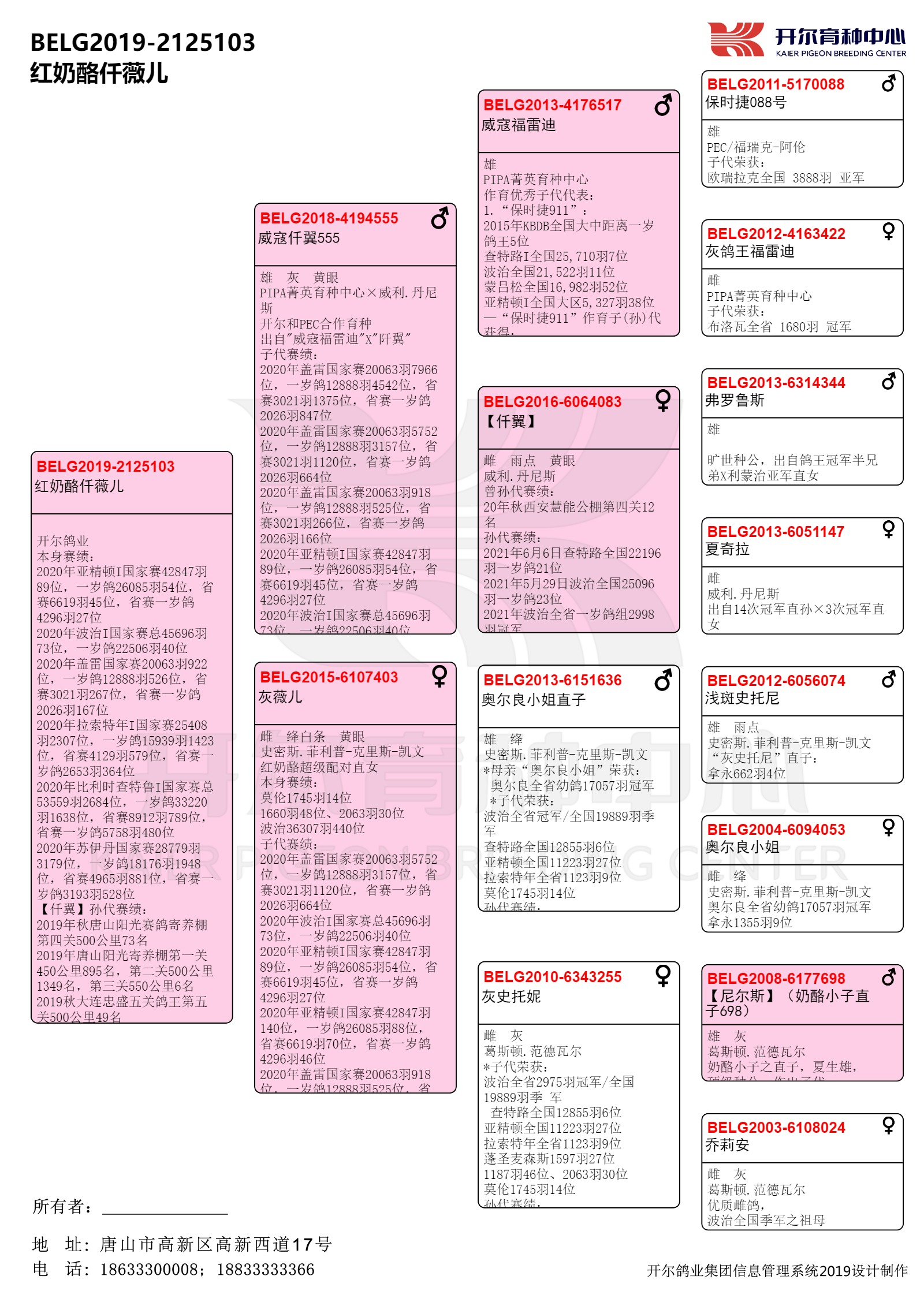 【红奶酪仟薇儿】
