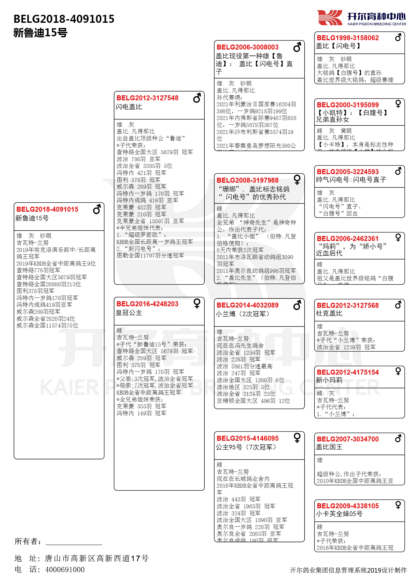 BELG鸽环对照表图片