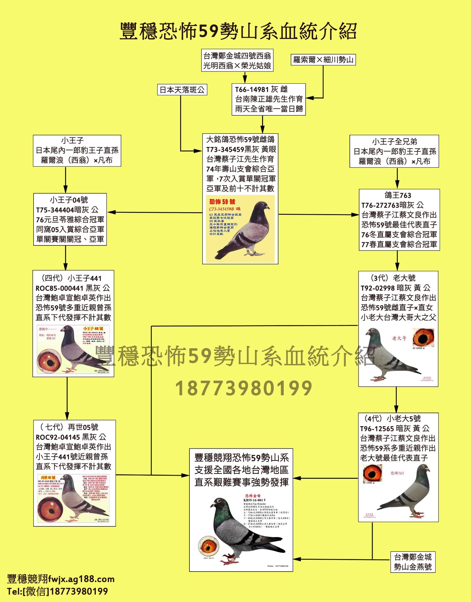 豐穩恐怖59系族譜介紹