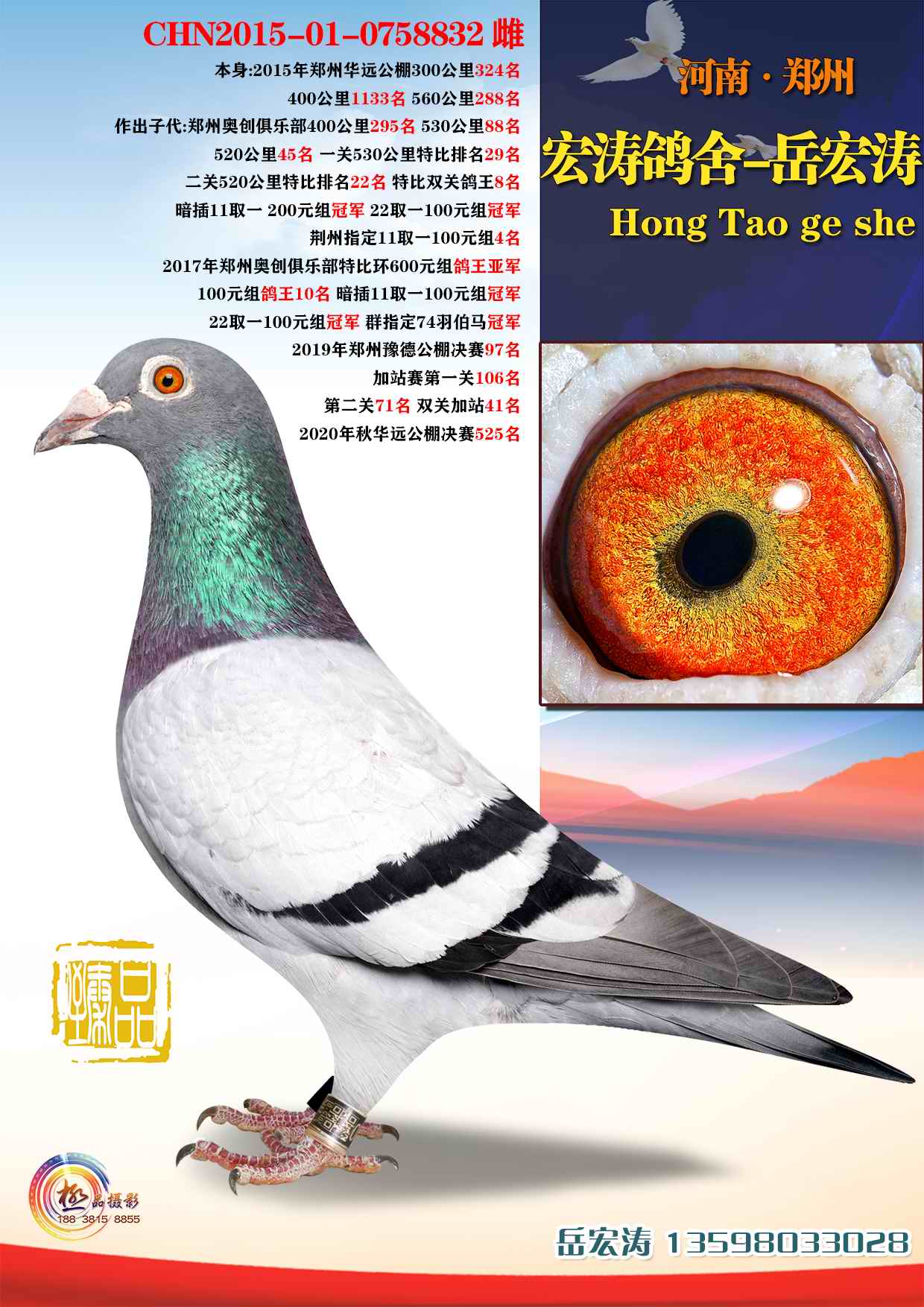加入级别:标准展厅关注展厅:关注总访问量:19731所在省份:河 南展示羽