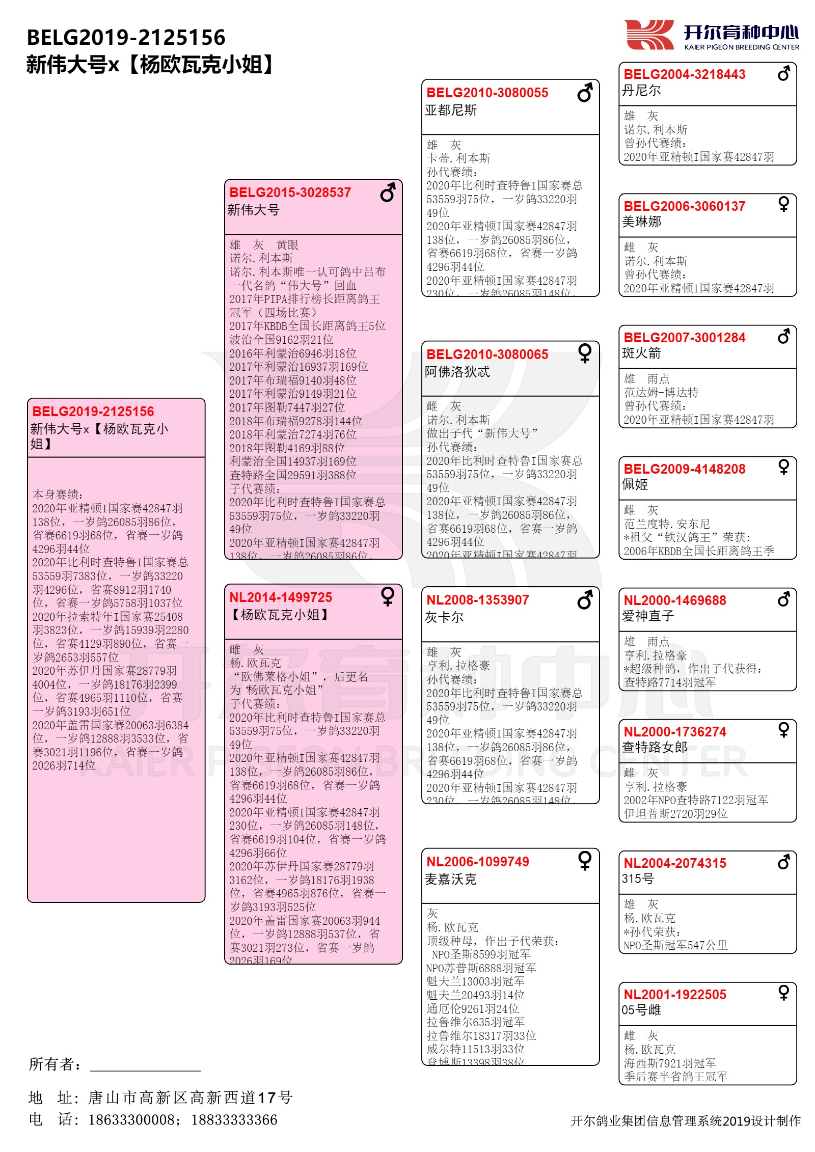 com爱鸽商城_中国信鸽信息网