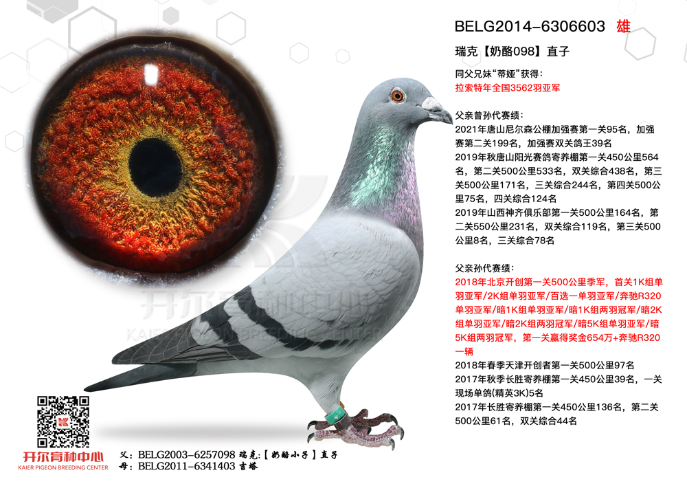 瑞克奶酪098直子