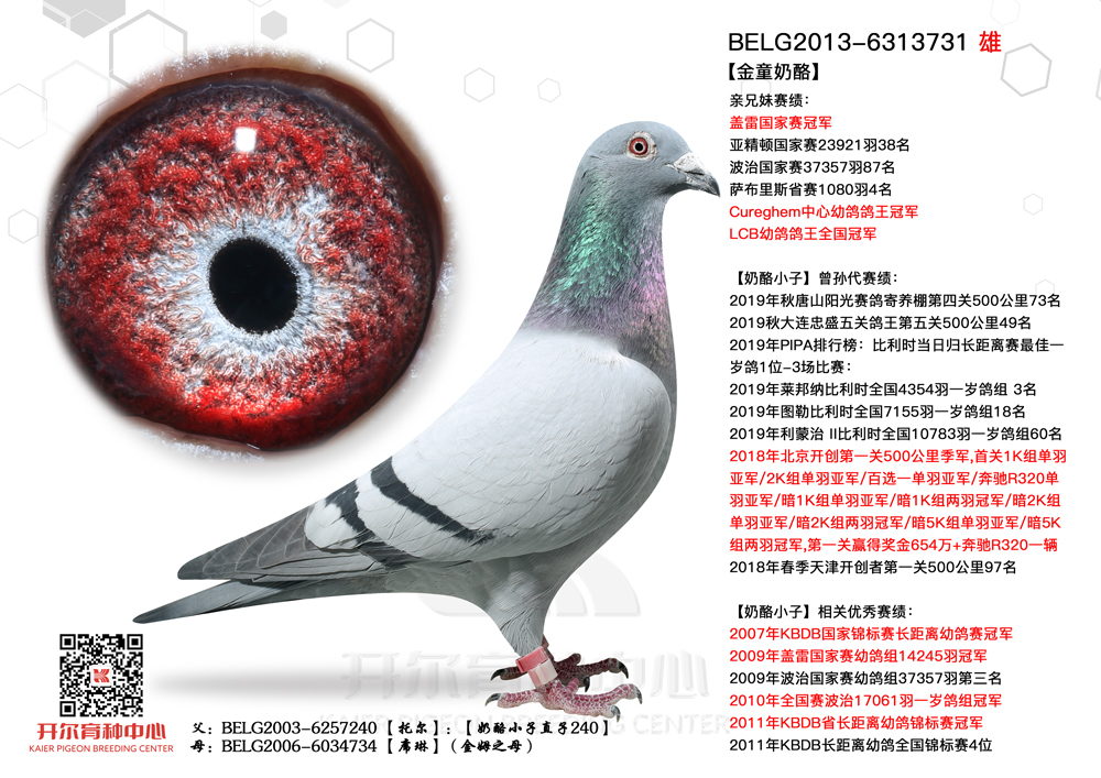 金童奶酪奶酪240金母席琳