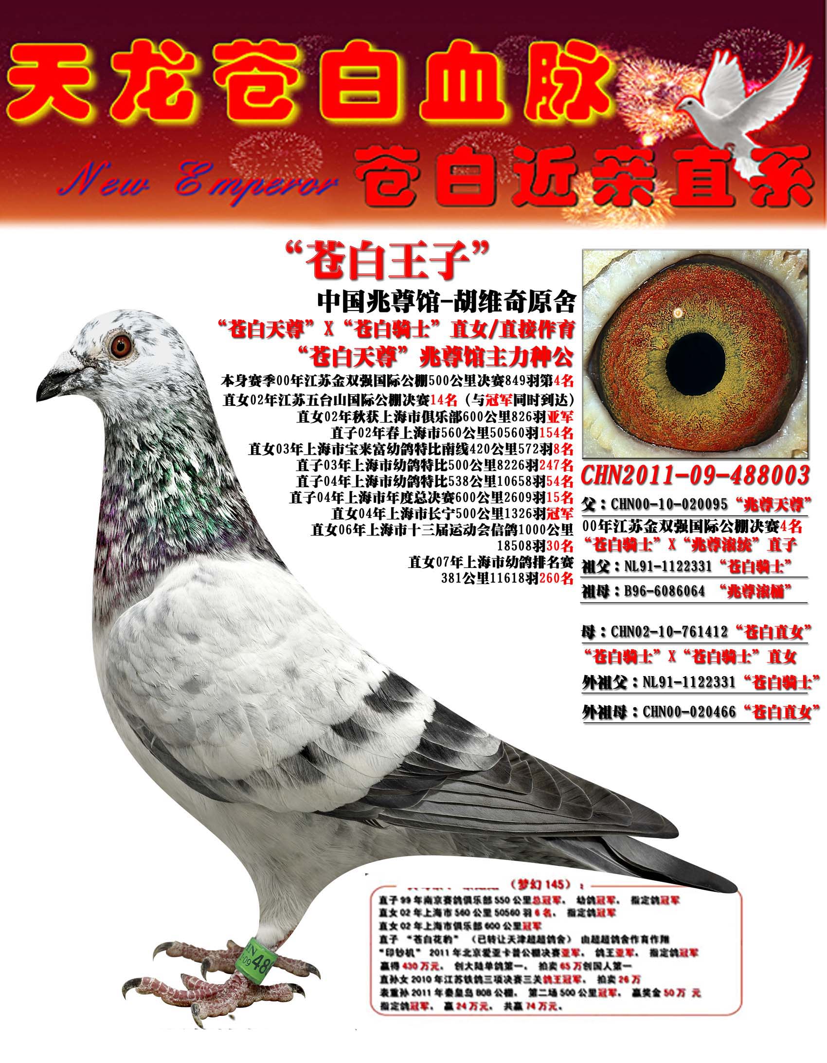 "苍白王子"中国兆尊馆-胡维奇作育