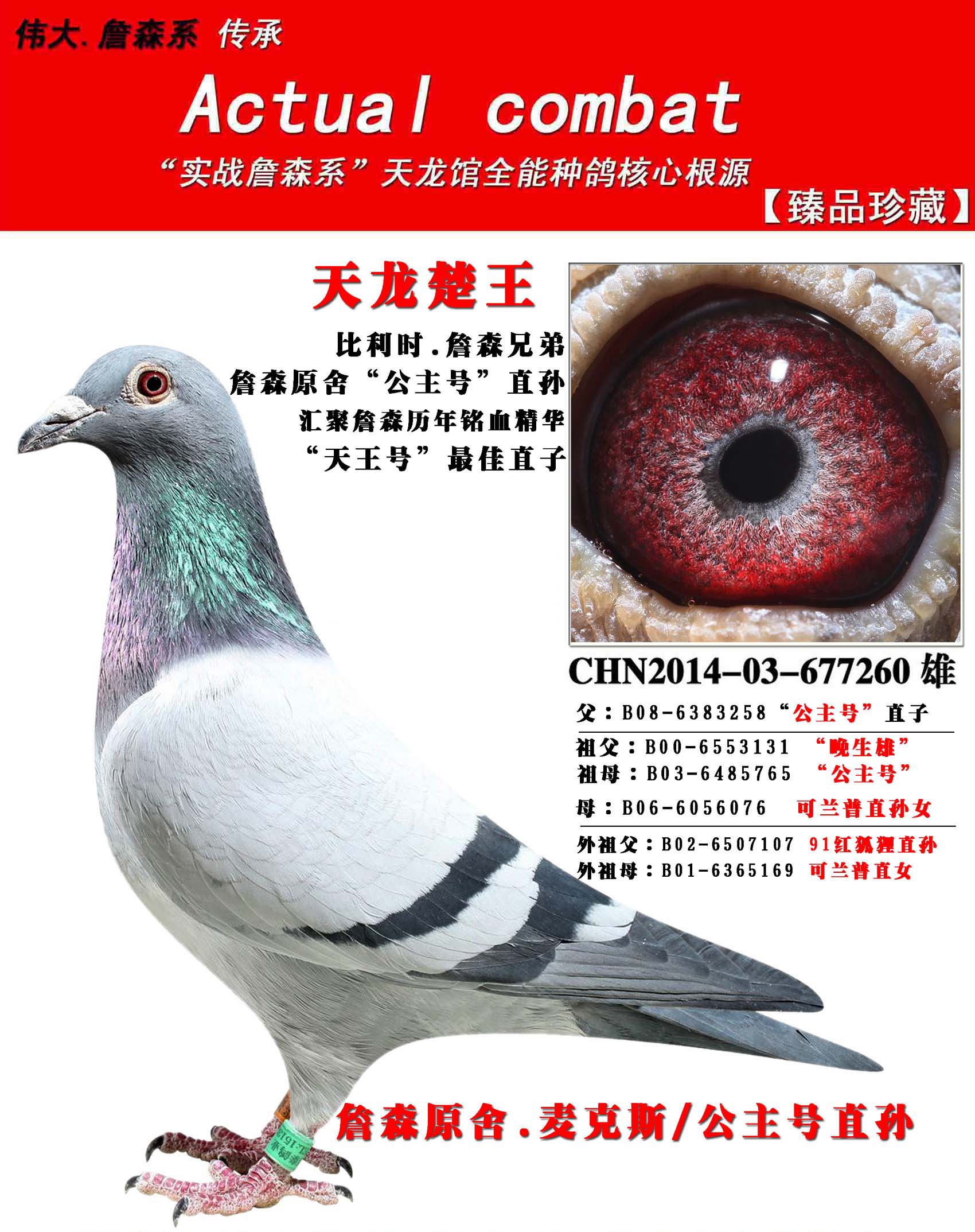 詹森麦克斯公主号顶尖直孙