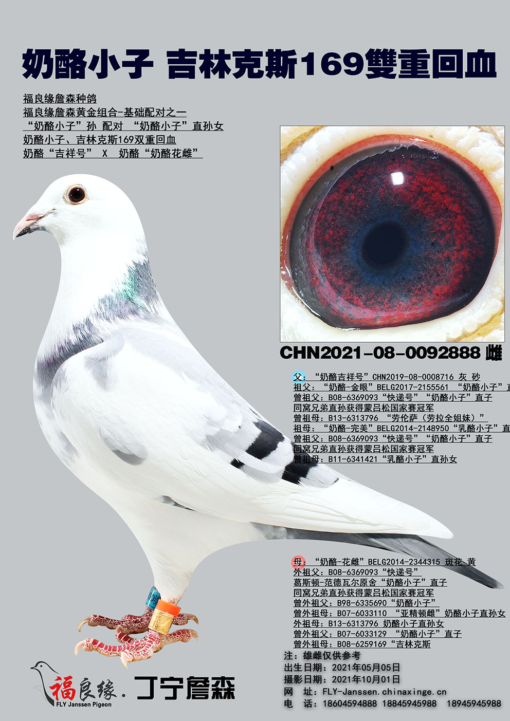 奶酪小子吉林克斯169多重回血