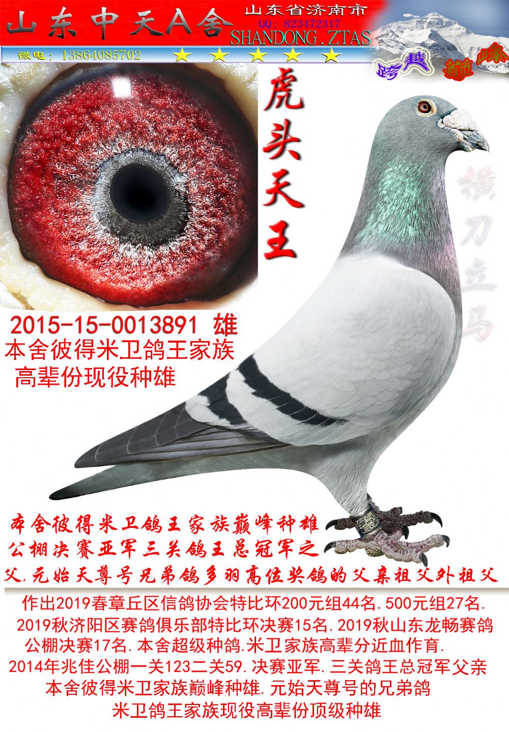 米卫虎头天王2015