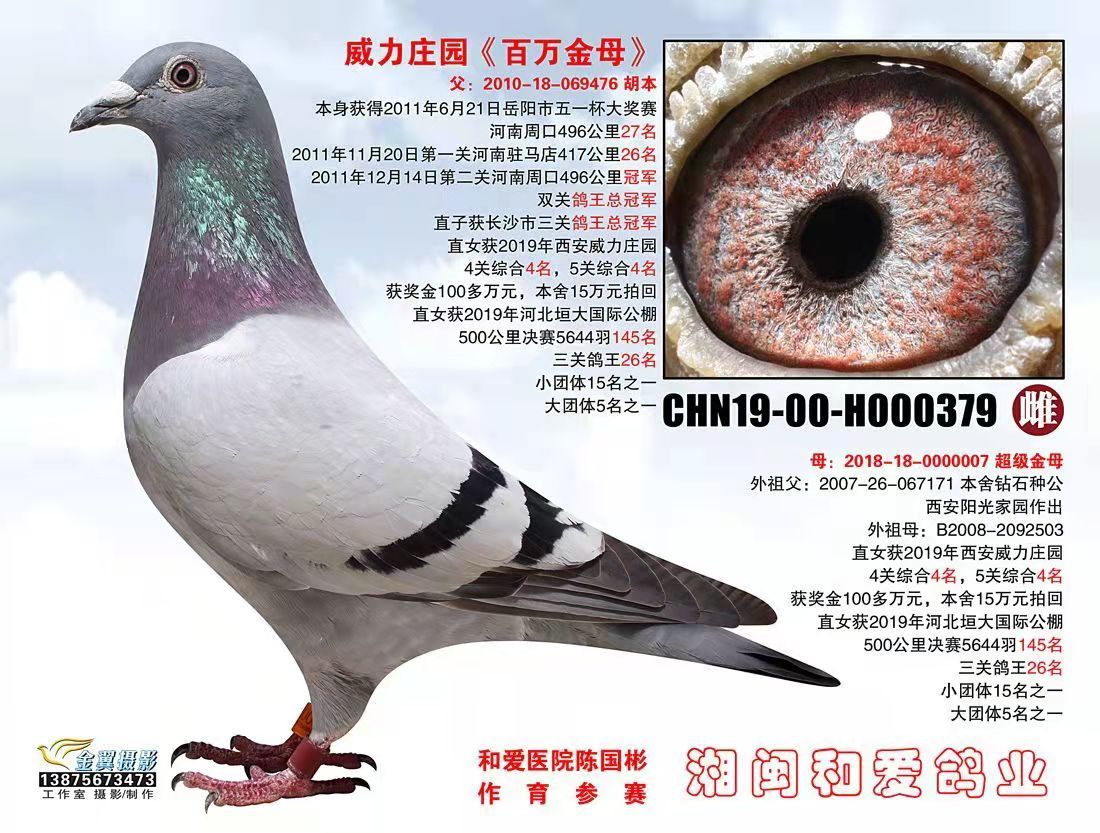 威力庄园4关综合4,5关综合4名《院内》_湘闽鸽舍_ag188.