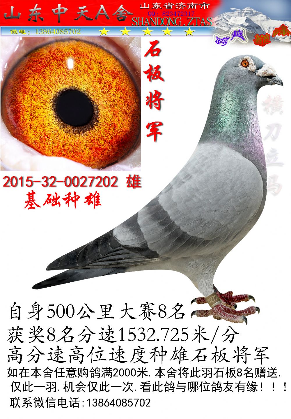 石板8名雄