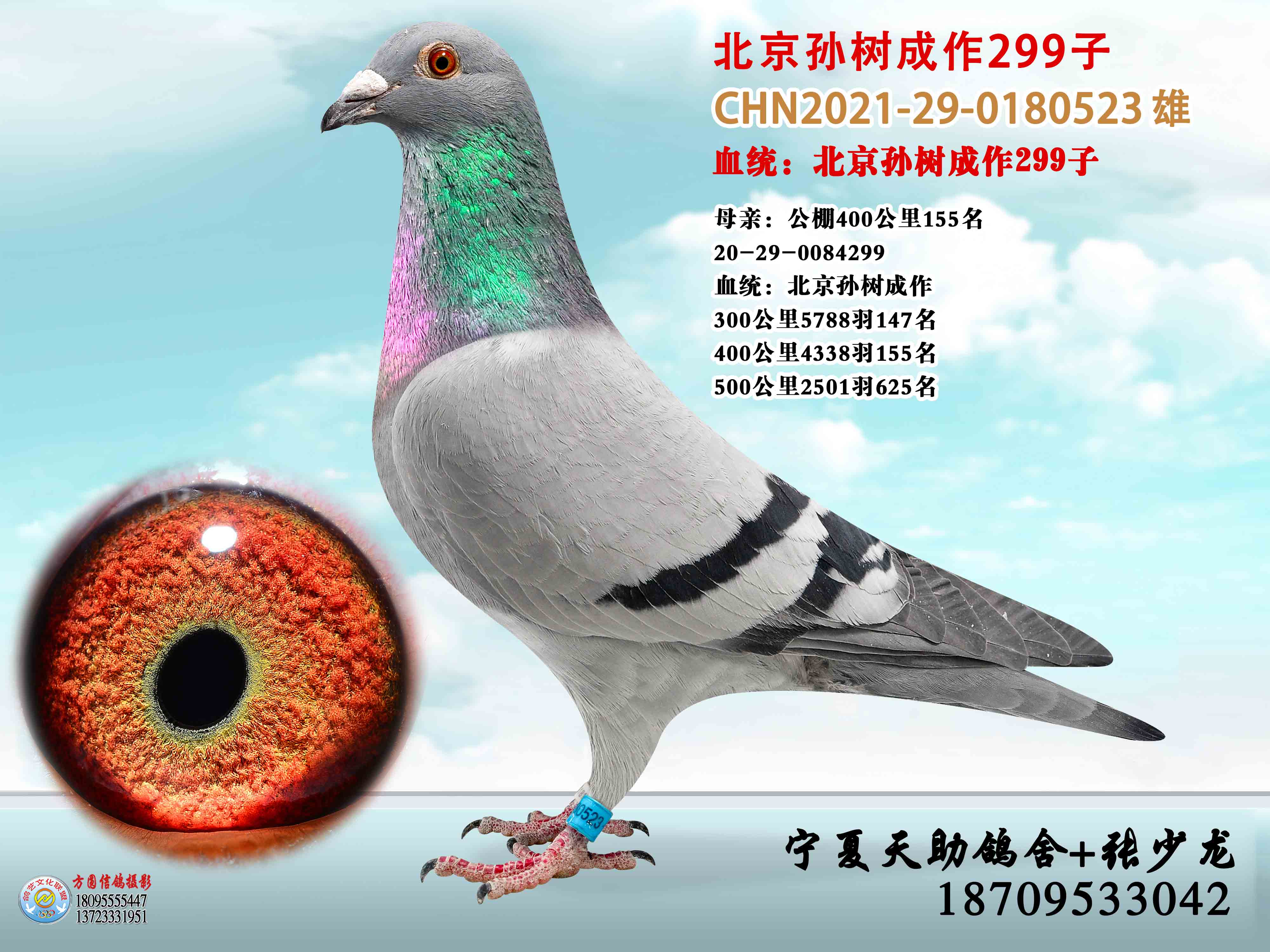 北京宋淑成作299子