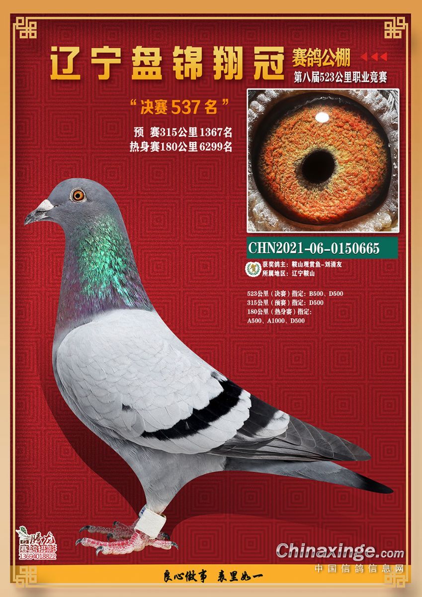 盘锦翔冠公棚决赛537名