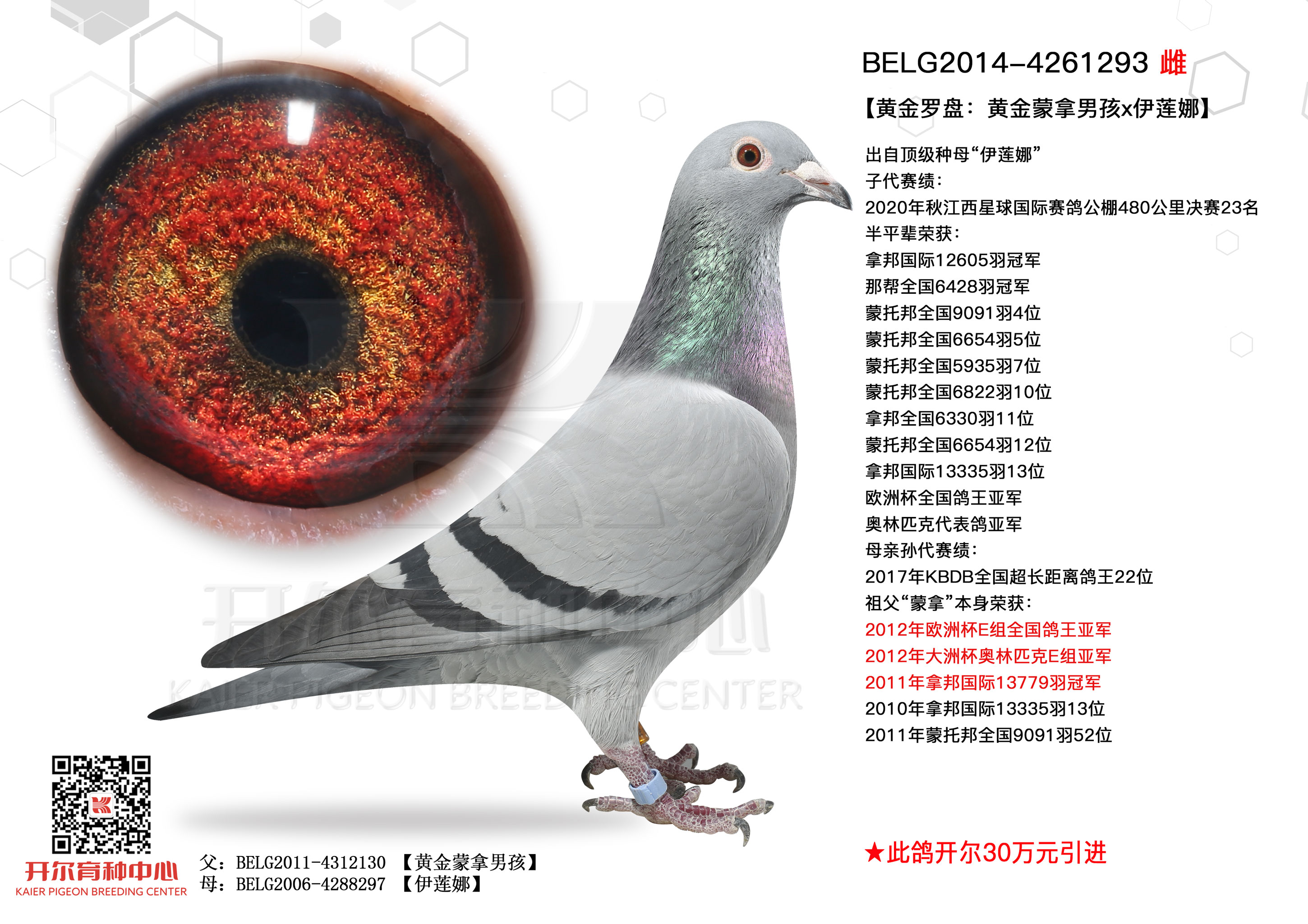 黄金罗盘黄金蒙拿男孩x伊莲娜