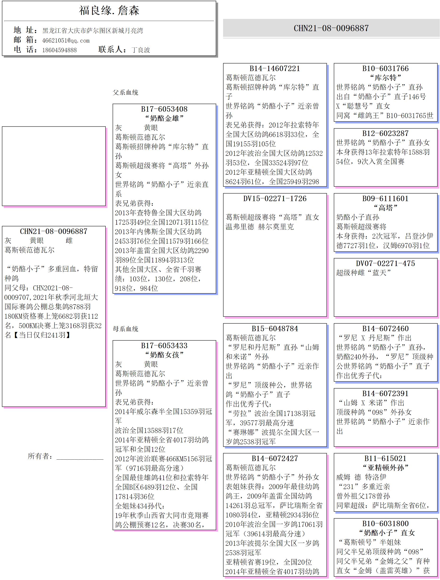 奶酪小子家族图片