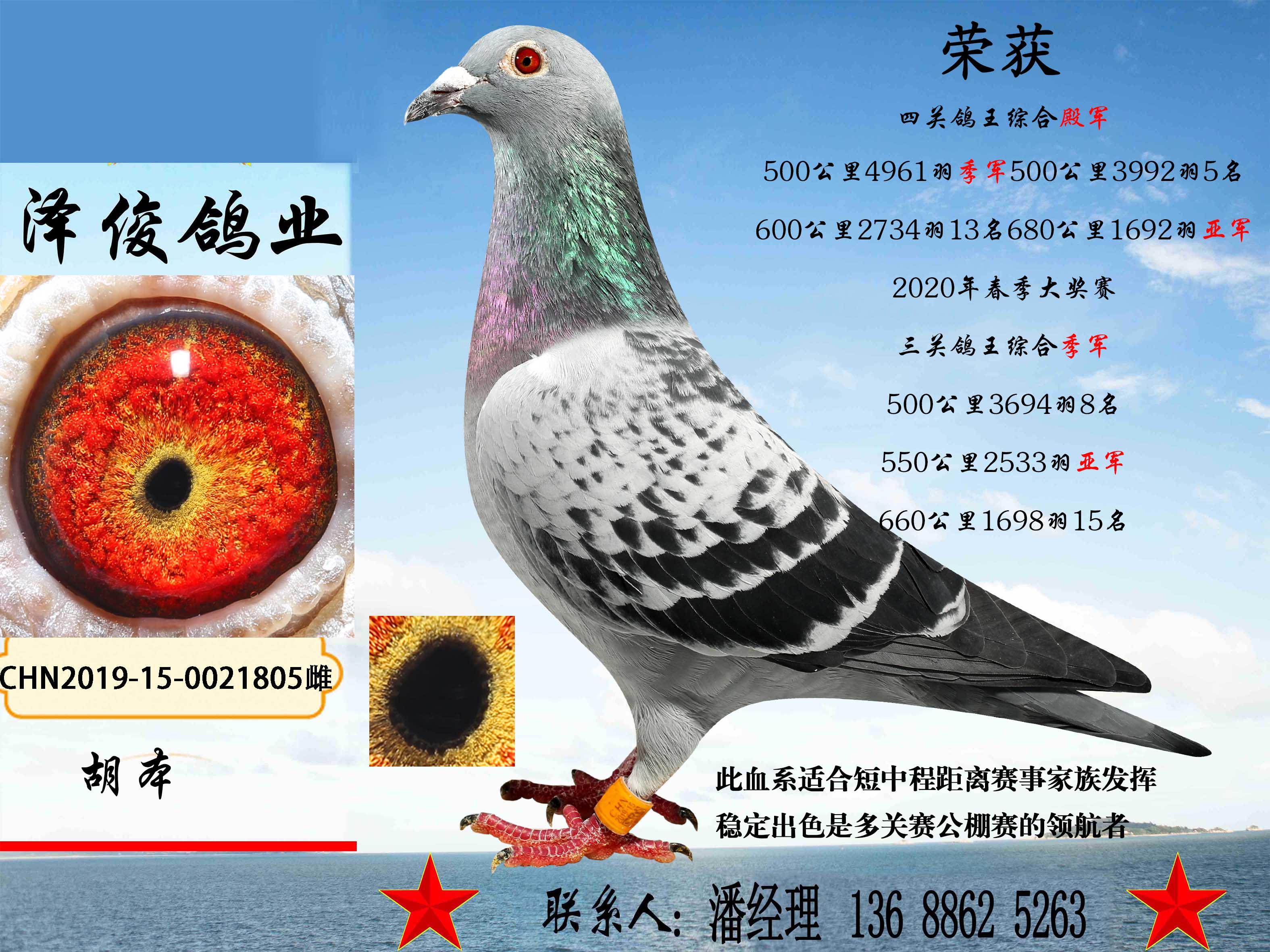 别:雌目 录:胡本多关赛家族人 气:17333次血 统:胡本鸽友通:详细介绍