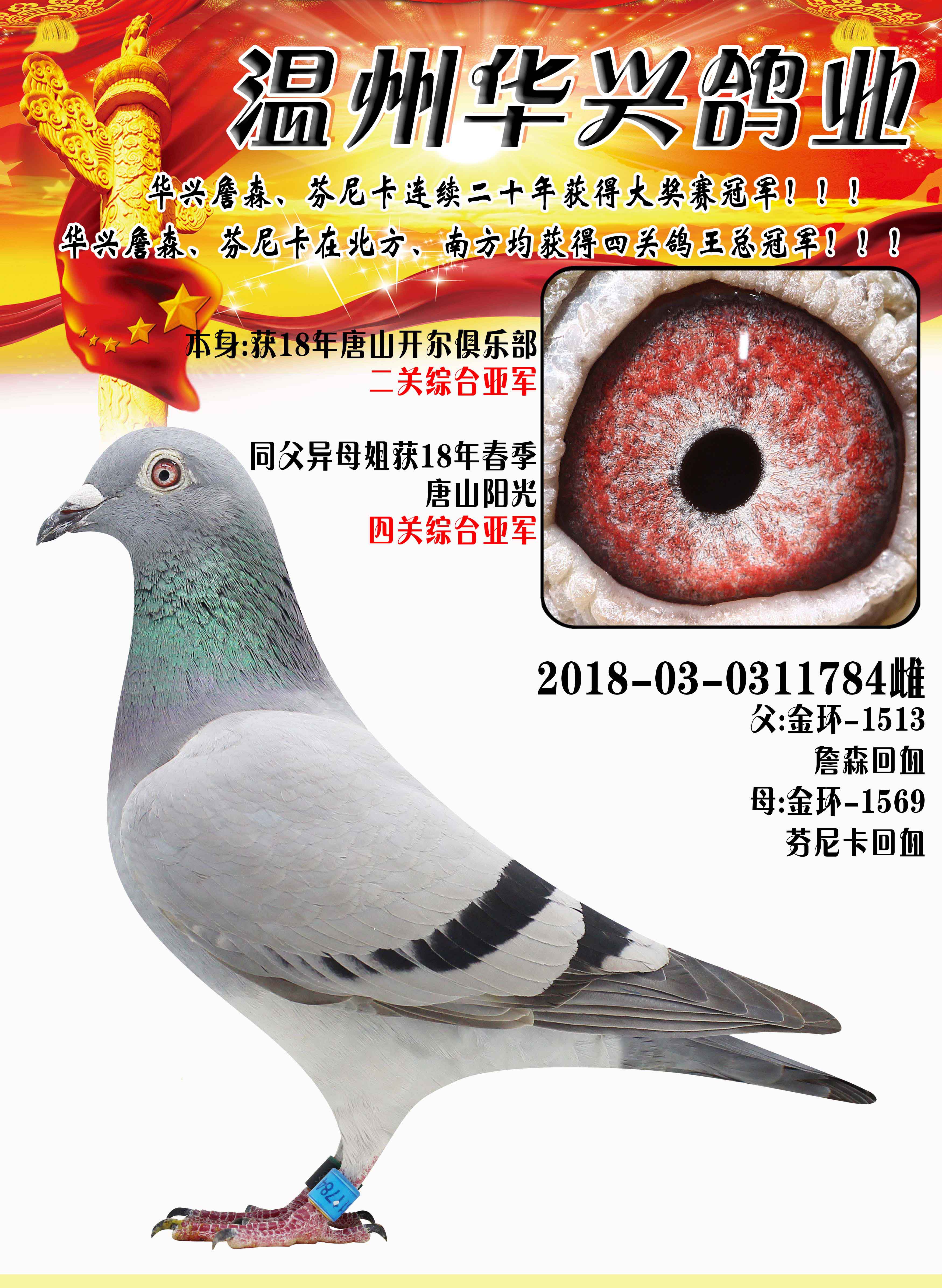 2018唐山开尔二关综合亚军_温州华兴鸽舍_ ag188.com爱鸽商城_中信网