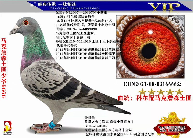 马克詹森土匪少爷