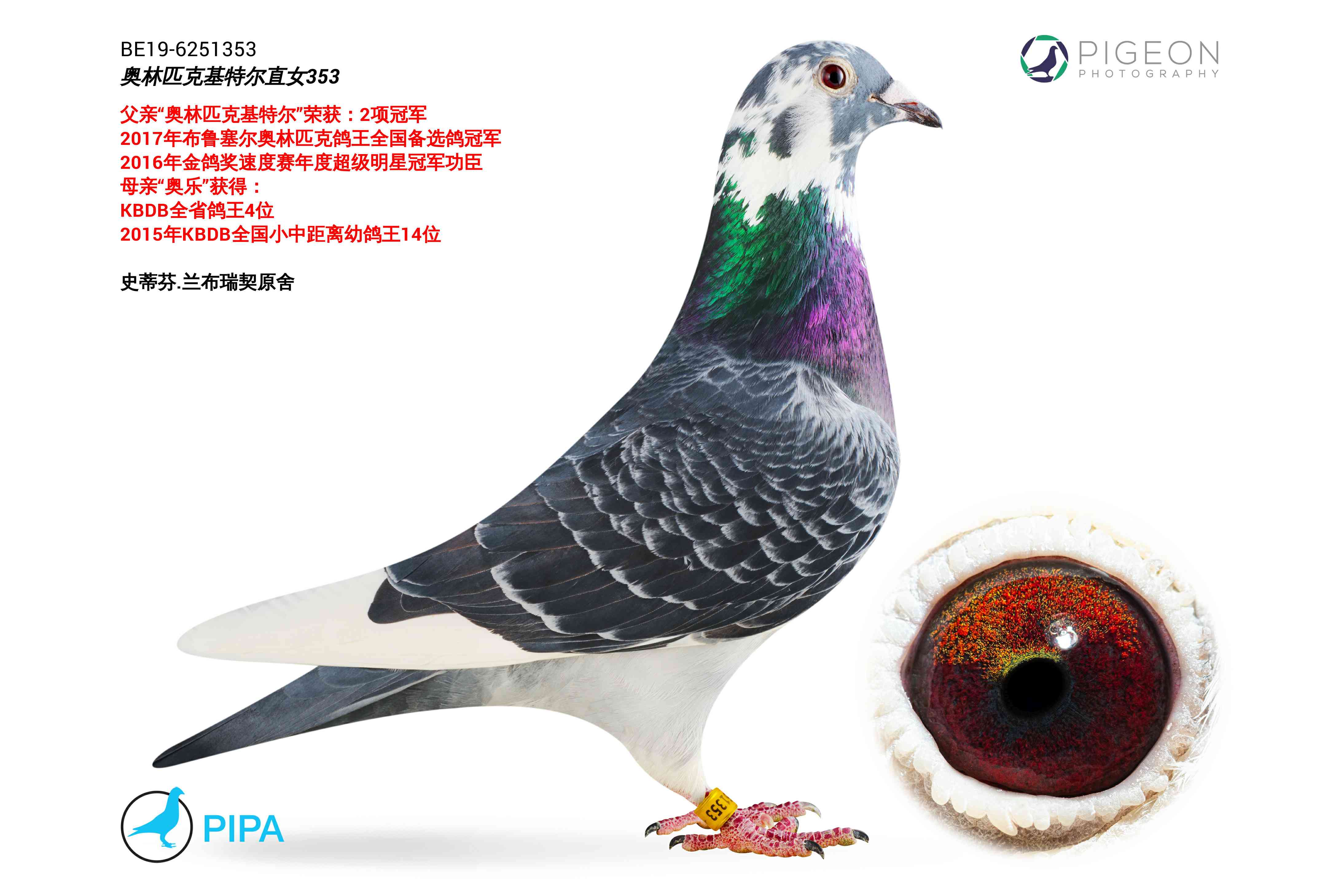 奥林匹克基特尔直女353