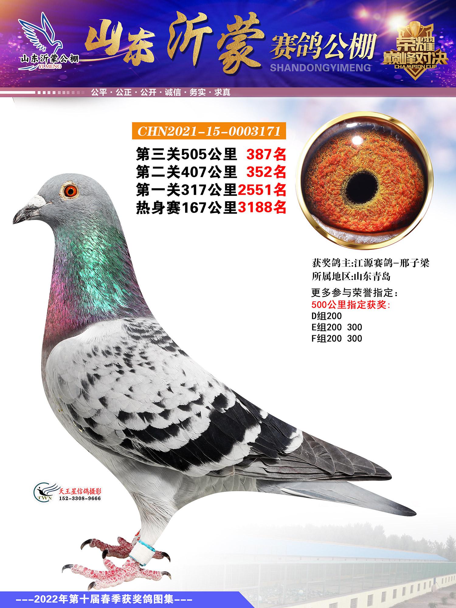 2022年沂蒙春棚决赛387名