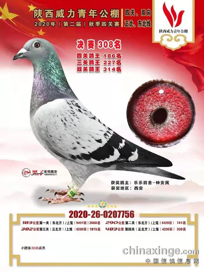 太阳鸟_西安太阳鸟鸽舍_ ag188.com爱鸽商城_中信网