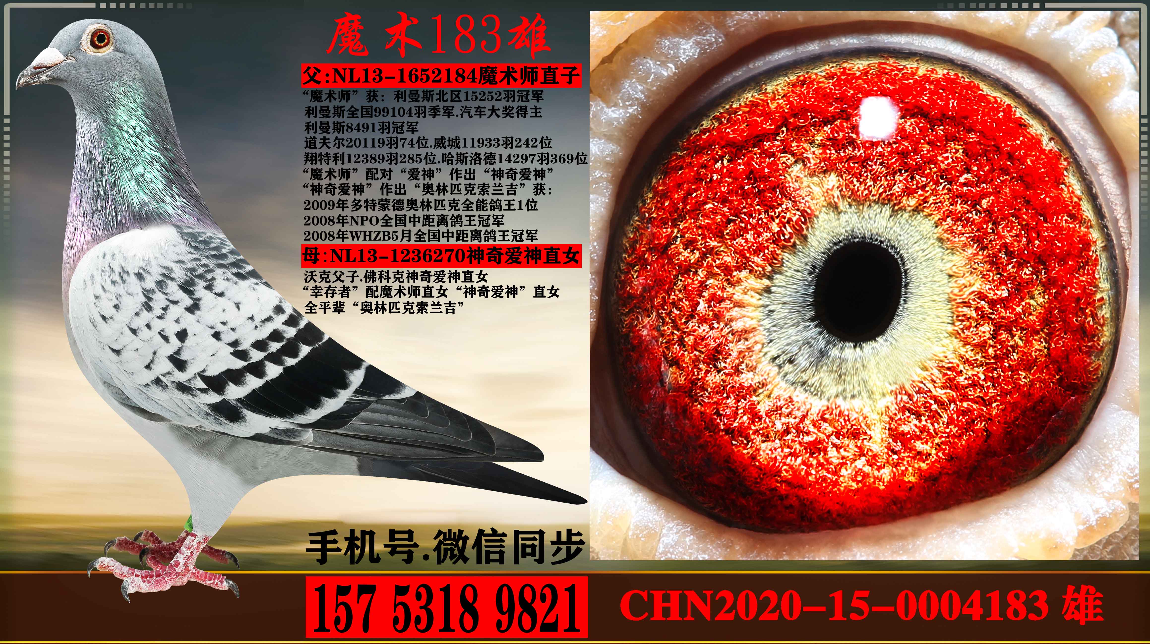 考夫曼魔术师直子配佛科克神奇爱神直女