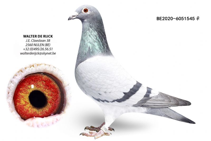 瓦特"新钻石配对"男主角侄孙女