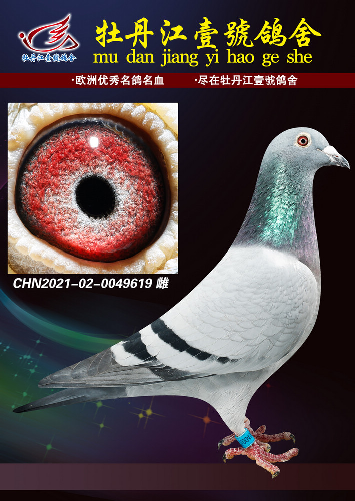 葛斯顿范德瓦尔奶酪小子098近亲外孙女