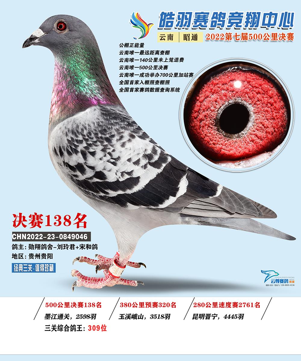 云南皓羽决赛138名