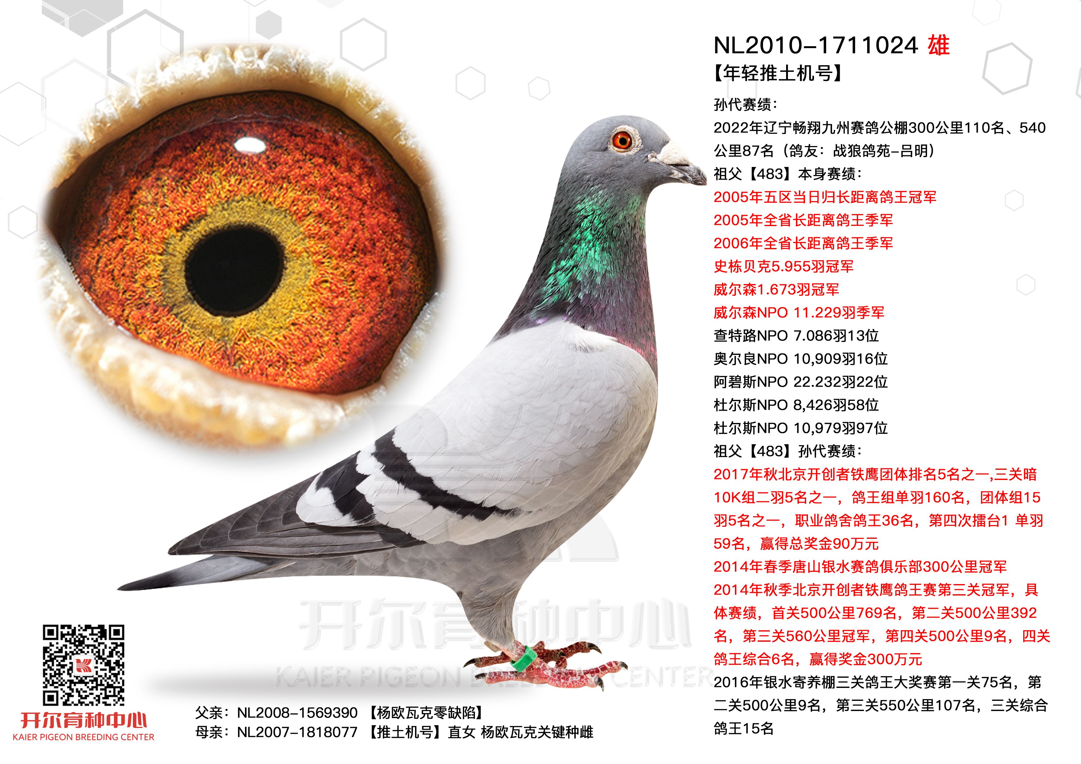 杨欧瓦克年轻推土机号