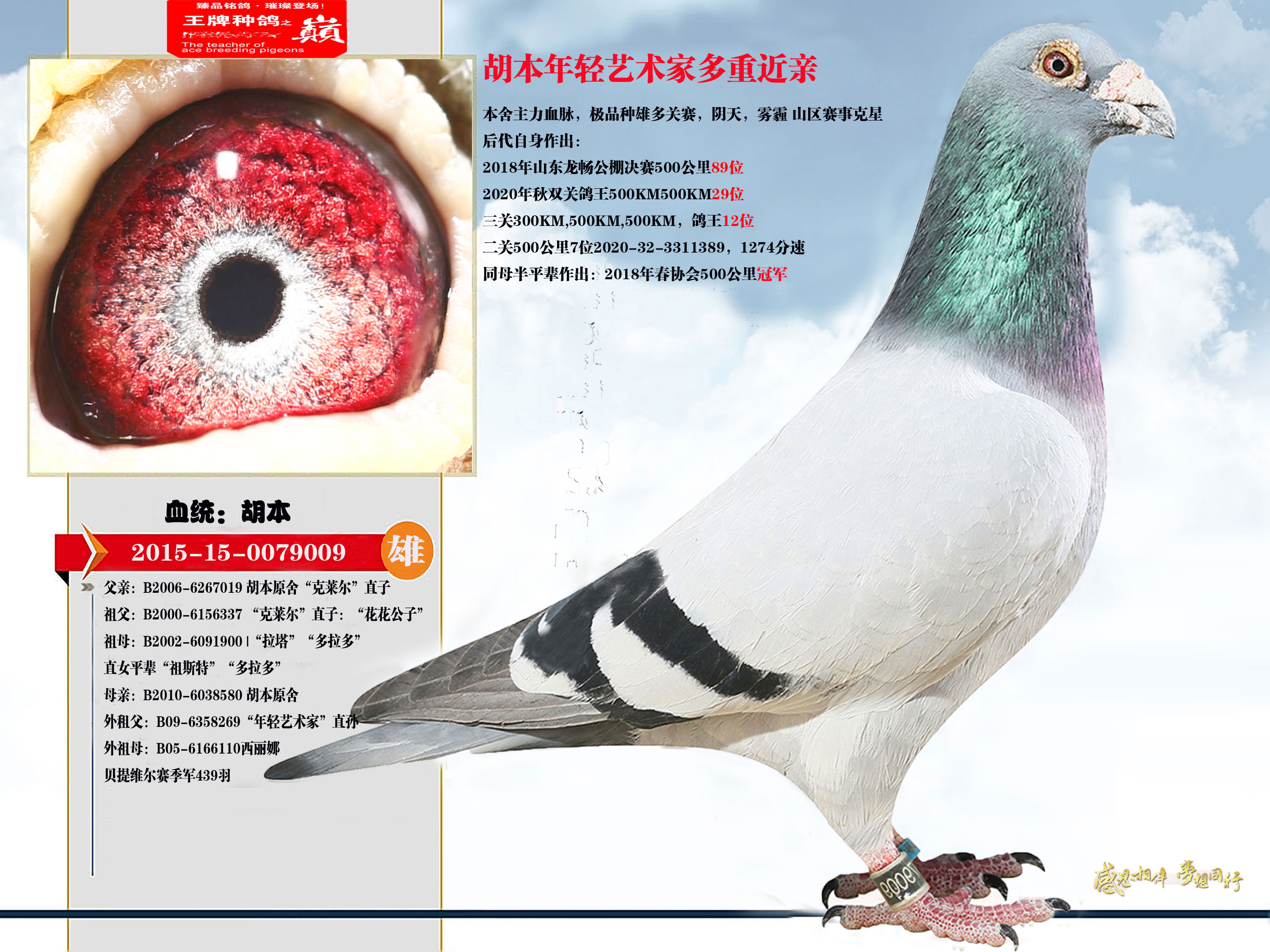 胡本超级种雄