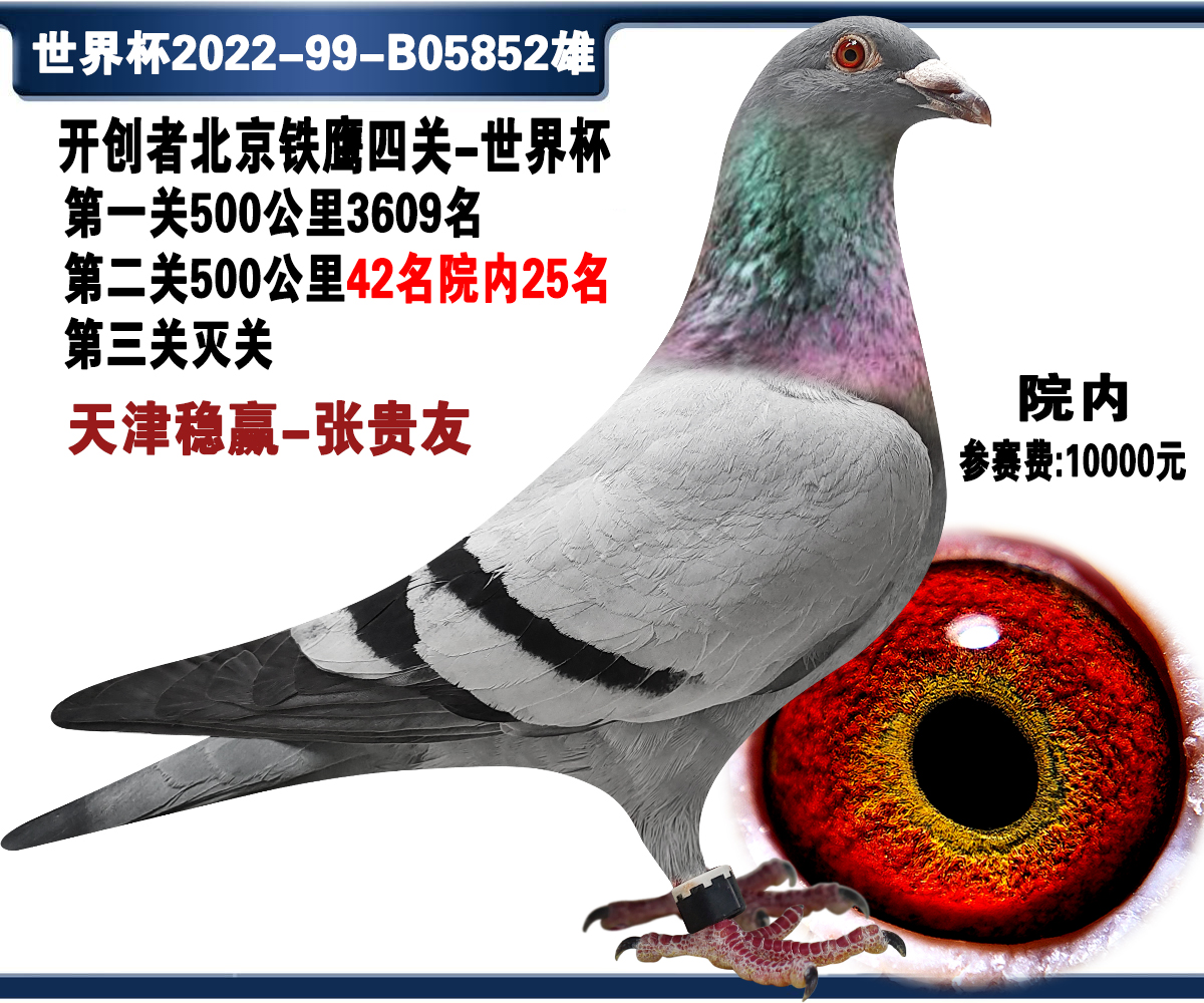 北京开创