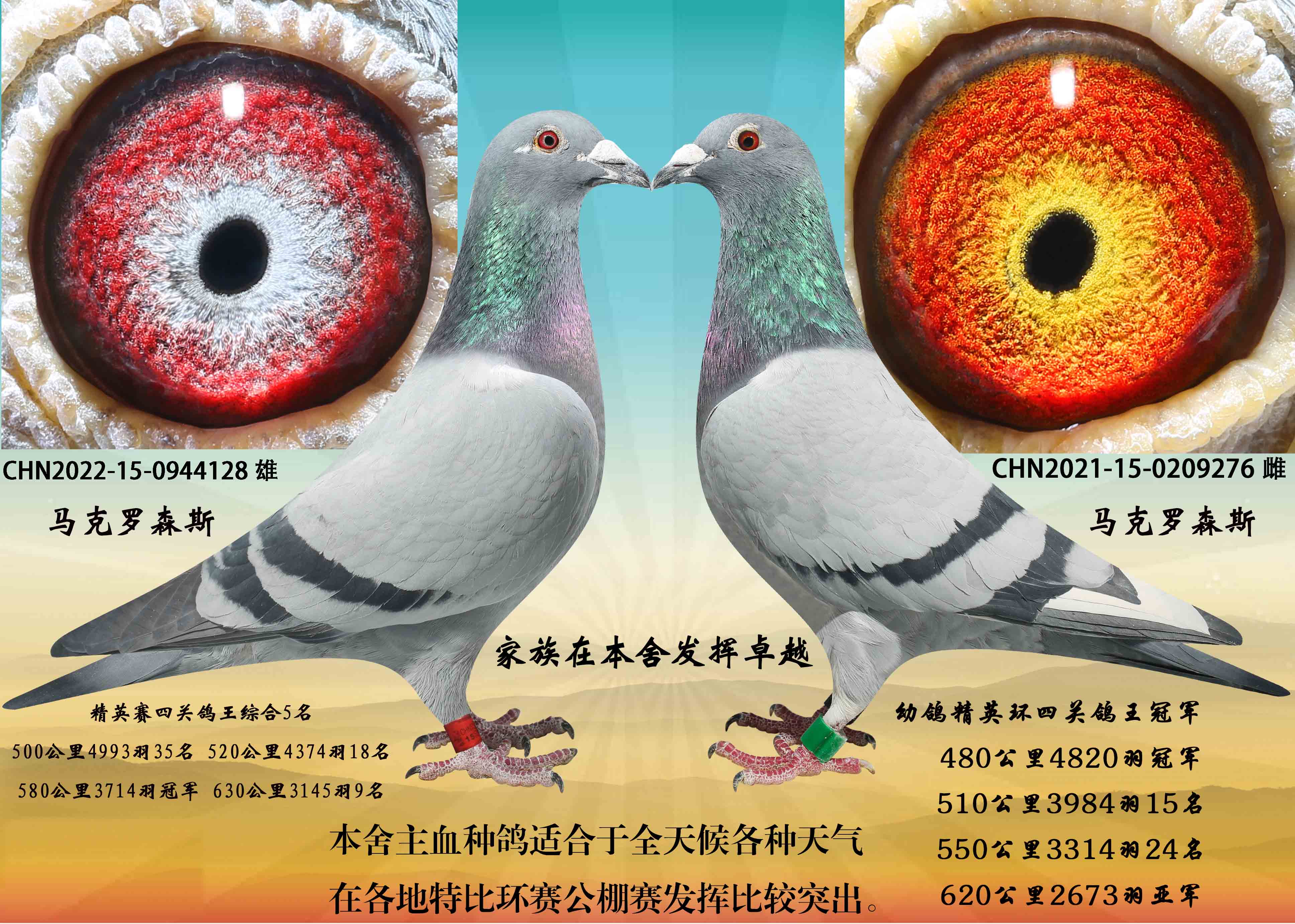 极品马克