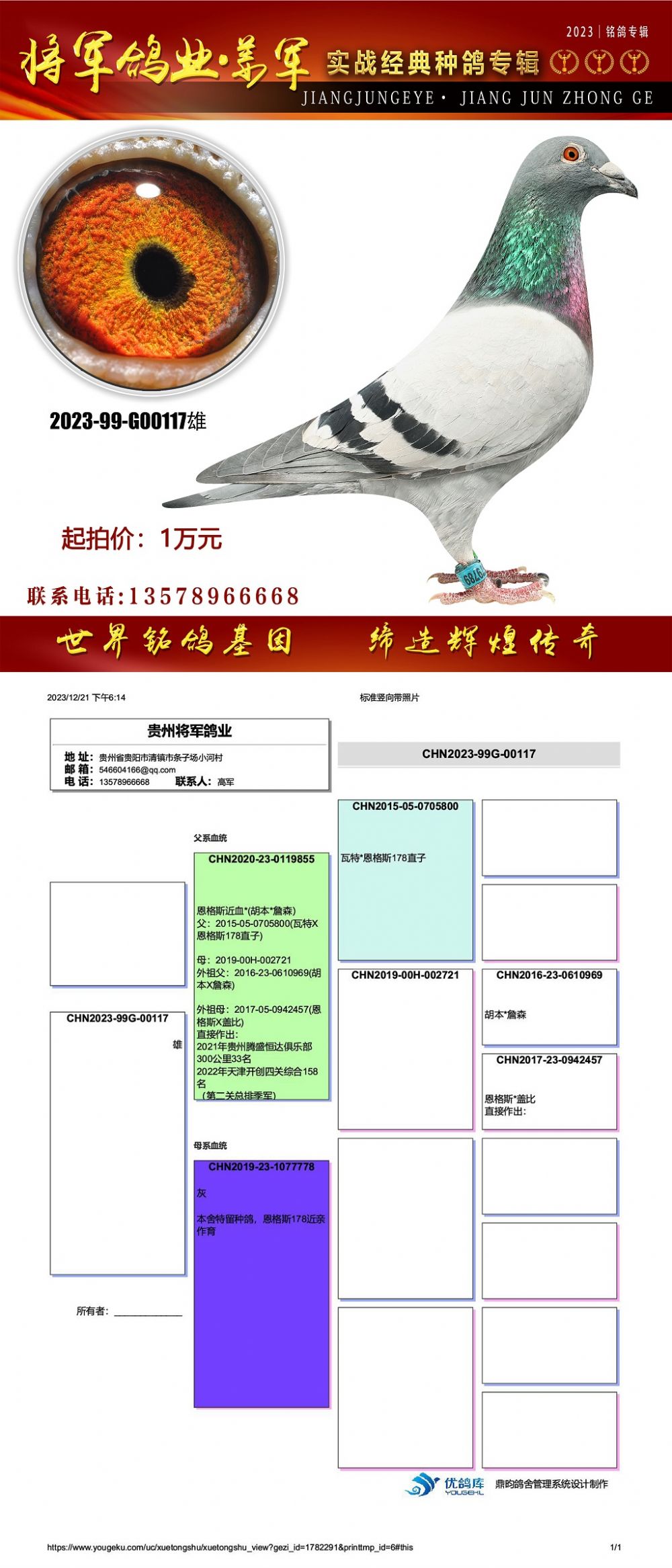 贵州姜军鸽舍图片