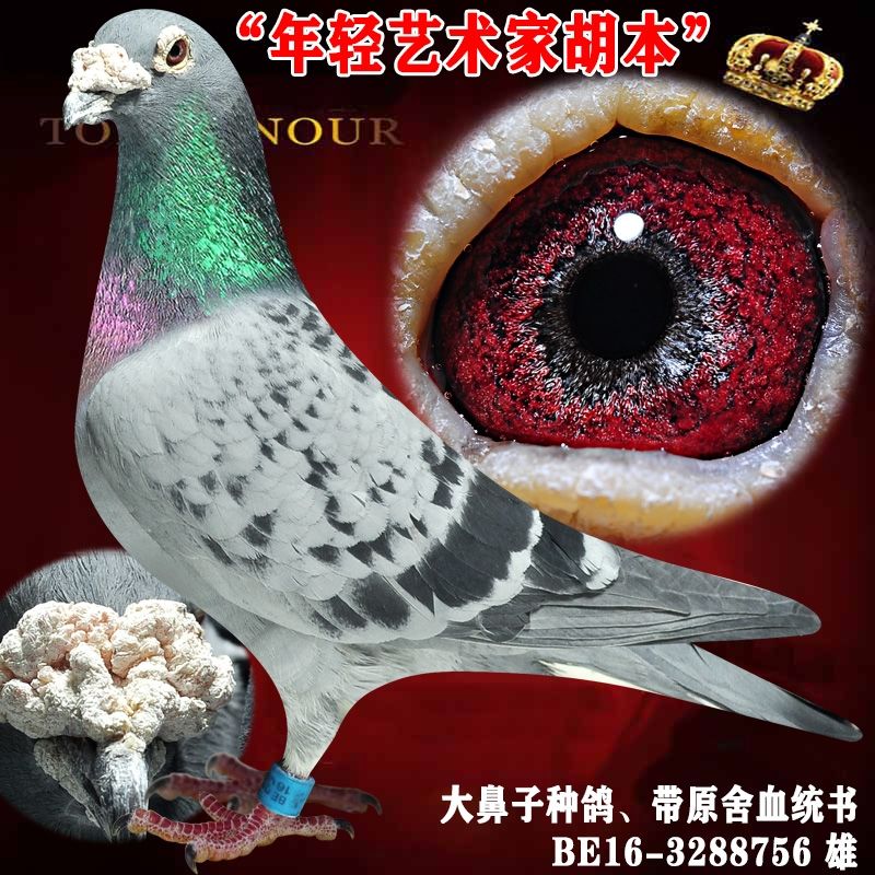 胡本年轻艺术家