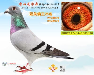 2018年春唐山尼尔森公棚决赛67名,加强赛80名