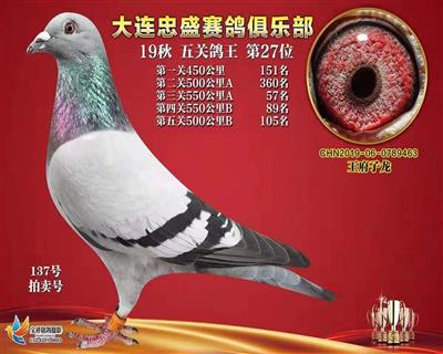 王府子龙展品列表 - 中信网铭鸽展厅