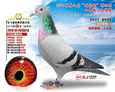 盛云巢·李光辉 - 中信网铭鸽展厅 www.ag188.com
