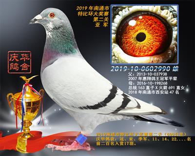 中信网铭鸽展厅