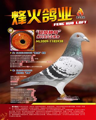 佛科克推土机x索朗直女