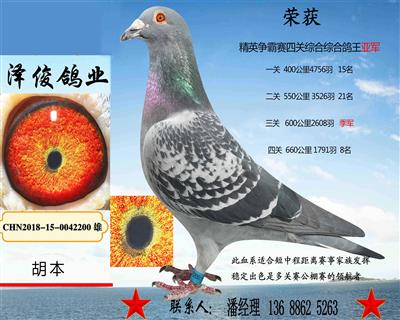 欢迎光临泽俊鸽业