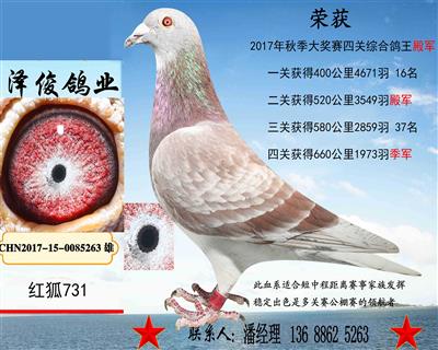 泽俊鸽业 - 中信网铭鸽展厅 www.ag188.com