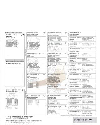 好红x奥林匹克罗西塔双鸽王.曾外孙女