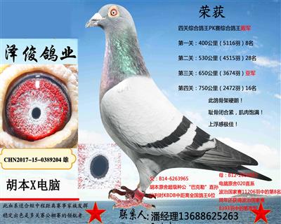 欢迎光临泽俊鸽业