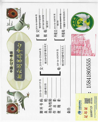 翔云阁原舍博尔特奶酪240